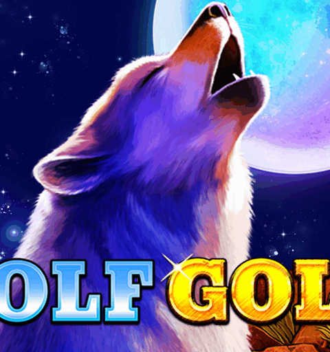 Wolf Gold: Pola Slot Gacor dan Tips Menang Hari Ini